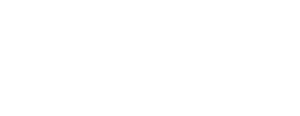 Buzin Transportes